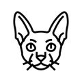 cornish rex cat cute pet line icon vector illustration