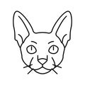 cornish rex cat cute pet line icon vector illustration