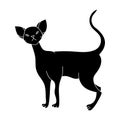 Cornish Rex icon in black style isolated on white background. Cat breeds symbol stock vector illustration.