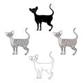 Cornish Rex icon in cartoon style isolated on white background. Cat breeds symbol stock vector illustration.