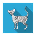 Cornish Rex icon in flat style isolated on white background. Cat breeds symbol stock vector illustration.