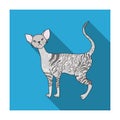 Cornish Rex icon in flat style on white background. Cat breeds symbol stock vector illustration.