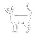 Cornish Rex icon in outline style isolated on white background. Cat breeds symbol stock vector illustration.