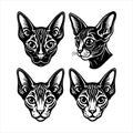 This Cornish Rex Illustration in Vector Style highlights the breed\'s signature wavy coat. Royalty Free Stock Photo