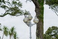 Cornish sea front road lighting against a tree trunk