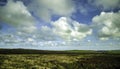 Cornish view with fields - Cornwall, United Kingdom