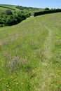 Fields near the village of Gweek Cornwall UK