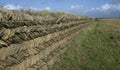 Cornish Wall a combination of a stone wall It has an earth centre and is then faced each side with local stone