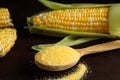 Cornmeal in spoon and fresh cobs on wooden table Royalty Free Stock Photo