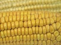 Corns