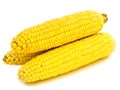 Corns Royalty Free Stock Photo