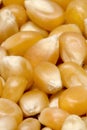 Corns Royalty Free Stock Photo