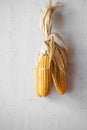 Corns. Artificial corns are hanging on the wall for Thanksgiving decoration. Fake corns on the wall. Royalty Free Stock Photo