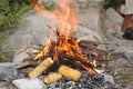 Corns being grilled in the Himalayas mountain Royalty Free Stock Photo