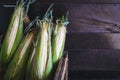 Corns Royalty Free Stock Photo