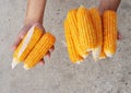 Corns in Farmers Hands