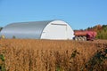 Corns farms in Ange Gardien located within the Rouville Regional Royalty Free Stock Photo