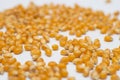 Corns scattered on a white background unevenly Royalty Free Stock Photo