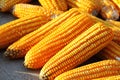 Corns in the sun. Royalty Free Stock Photo