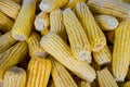 Corns Royalty Free Stock Photo
