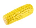 Cornstick corn on the cob isolated Royalty Free Stock Photo