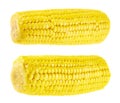 Cornstick corn on the cob isolated Royalty Free Stock Photo