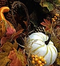 Cornucopia, Fall Harvest picture, Ornamental gourds and fall foliage Royalty Free Stock Photo