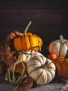 Cornucopia With Mini Pumpkins Royalty Free Stock Photo