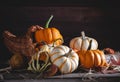 Cornucopia With Mini Pumpkins Royalty Free Stock Photo