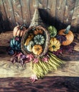 Cornucopia with Squash, Gourd, Pumpkin and Wheat Royalty Free Stock Photo