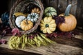 Cornucopia for Thanksgiving