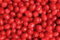 Cornus mas, the Cornelian cherry, European cornel or Cornelian cherry dogwood. It is sweet and sour red fruit Royalty Free Stock Photo