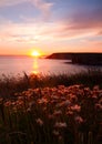 Cornwall Cliffside Sunset Royalty Free Stock Photo