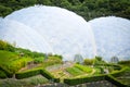 Eden Project, Cornwall Royalty Free Stock Photo