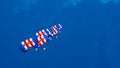 CORNWALL, ENGLAND, UK - JUNE 10,2016 : RAF Falcons Parachute Team at Royal Cornwall