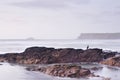 Cornwall seascape and perched cormorant. Royalty Free Stock Photo