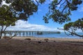 Cornwallis Wharf Auckland New Zealand