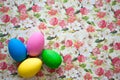 Coroful easter eggs placed on spring flower background Royalty Free Stock Photo