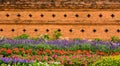 Corolful garden with flowers near old red brick wall Royalty Free Stock Photo