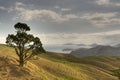 Coromandel Coast Royalty Free Stock Photo