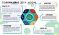 Simple corona infographiss template design Royalty Free Stock Photo
