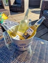 Corona beer bucket on roof terrace with wine
