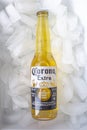 Corona Extra beer bottle on Ice