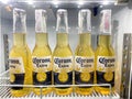 Corona Extra beer on shelves in a supermarket Royalty Free Stock Photo