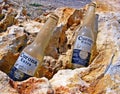 Corona Extra Empty, Dirty Old Beer Bottles