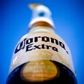 Corona Extra focus on label