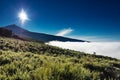 Corona Forestal Natural Park, Tenerife, Canary Islands - Massive forest positioned at a high altitude above the clouds, surroundin Royalty Free Stock Photo