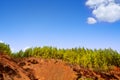 Corona Forestal in Teide National Park at Tenerife Royalty Free Stock Photo