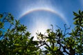 Corona ring of sun Royalty Free Stock Photo