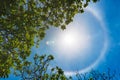 Corona ring of sun Royalty Free Stock Photo